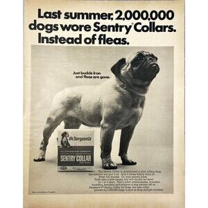 Sergeant's Sentry Dog Collar "Just Buckle Up and Fleas are Gone" Print Ad 1967